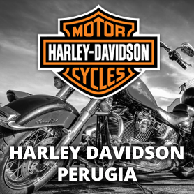 BANNER-HARLEY-dueruote